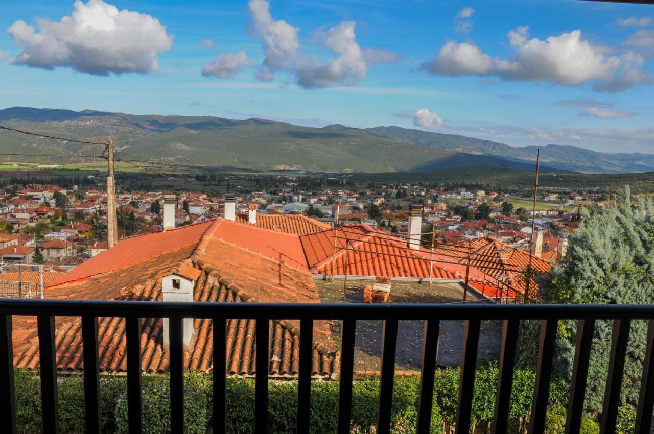 Dandy Villas Amfiklia - Pasithea - Stunning View - Fireplace - Parking Amfikleia Dış mekan fotoğraf
